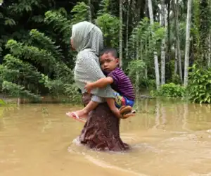 Akibat Hujan, Banjir Landa Beberapa Desa di Aceh Timur