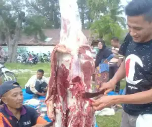 Pakar: Daging Qurban tak Berisiko Tularkan COVID-19