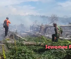 Faktor Angin, Kebakaran Lahan di Aceh Barat Meluas