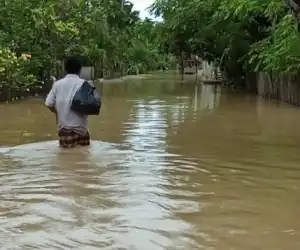 Masyarakat Kecewa, Pemerintah Dinilai Panik Hadapi Bencana Banjir