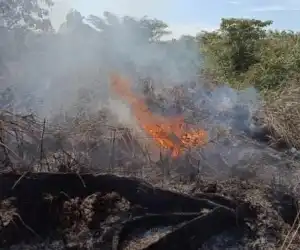 Karhutla Landa Aceh Barat, 8 Haktar Lahan Terbakar