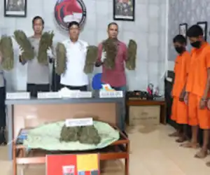 Polres Langsa Gagalkan Peredaran 10 Kilogram Ganja asal Nagan Raya