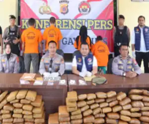 Kurang dari Lima Bulan Polres Gayo Lues Ungkap 12 Kasus Narkotika