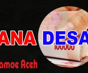 Mulai Besok Penyelewengan Dana Desa Akan di Proses
