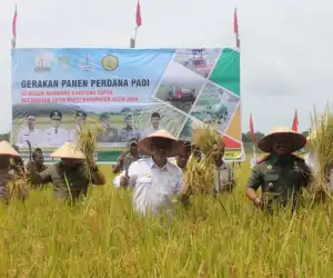 Petani Gampong Sapek Aceh Jaya Panen Perdana di Area Binaan