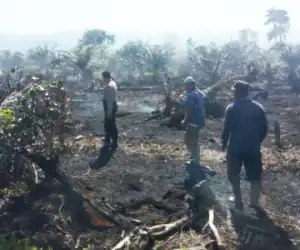 Kapolsek Kuala Batee Tinjau Lokasi Kebakaran Lahan Warga di Abdya