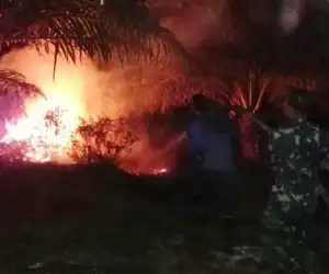 Sekitar Tujuh Hektare Kebun Terbakar di Nagan, TNI Ikut Memadamkan Api