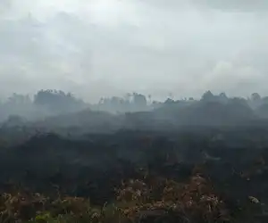 Kabakaran Lahan Kembali Terjadi di Aceh Jaya