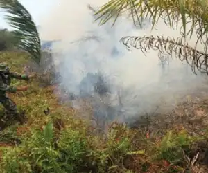 Personil TNI Kodim Nagan Raya dan Karyawan Padamkan Kebakaran Lahan