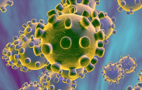 Gawat! Virus Lebih Mematikan Dari Corona Muncul di Afrika