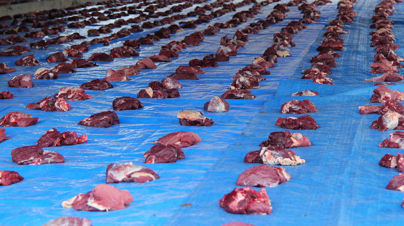 Bolehkah Daging Qurban di Bagikan ke Non Muslim? Berikut Penjelasan UAS