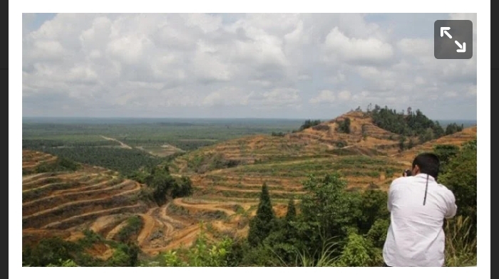 Wacana Pembagian Bekas Lahan HGU untuk Mesjid Dapat Respon Positif Dari Tokoh Abdya