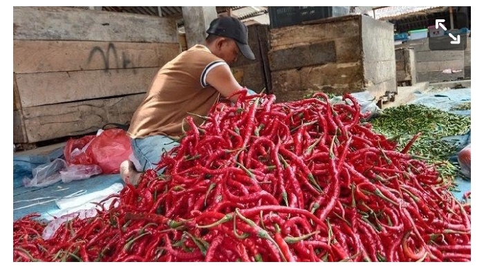 Harga Cabai Merah di Aceh Selatan Naik dalam Seminggu Terakhir