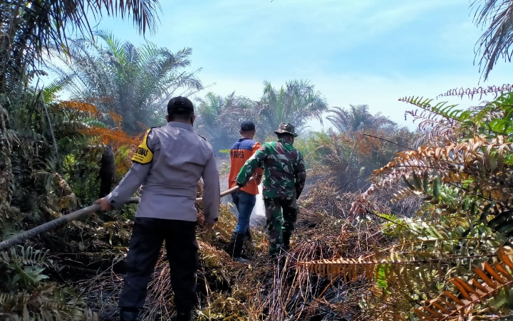 Kebakaran di Kayee Lhoen Aceh Jaya Masih Berpotensi Menyala