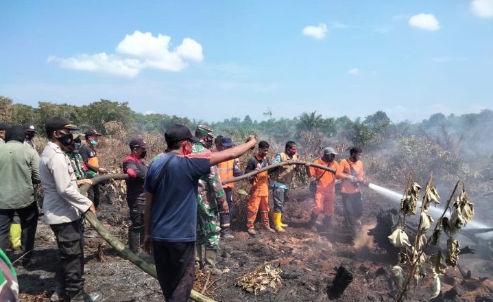Lahan Terbakar, Proses Pemadaman Terkendala Akses Jalan
