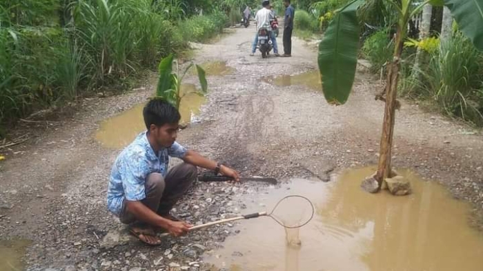 Tak Kujung Diperbaiki, Pemuda Aceh Selatan Tanam Pisang di Badan Jalan