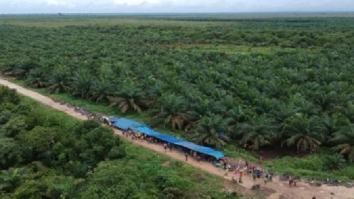 Forkopimkab Abdya Keluarkan Larangan Garap Lahan Eks HGU PT CA