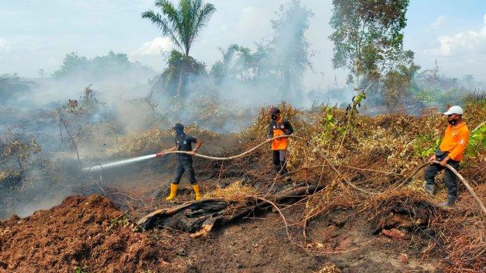 BPBK Aceh Jaya Ajak Masyarakat Tidak Membuka Lahan Dengan Cara Membakar