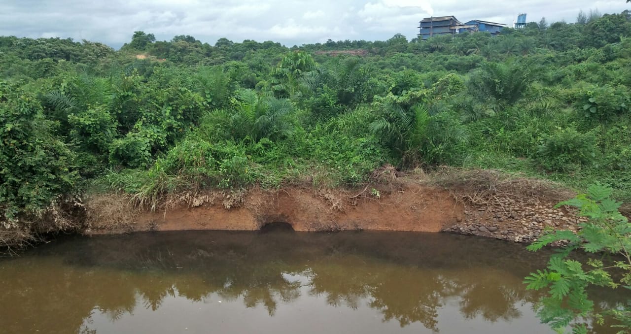 PT BSP Buang Limbah ke Sungai, Bupati di Minta Jangan Tutup Mata