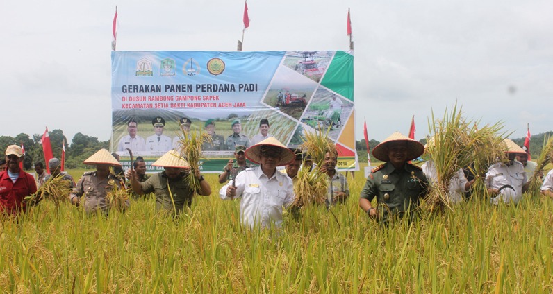 Petani Gampong Sapek Aceh Jaya Panen Perdana di Area Binaan